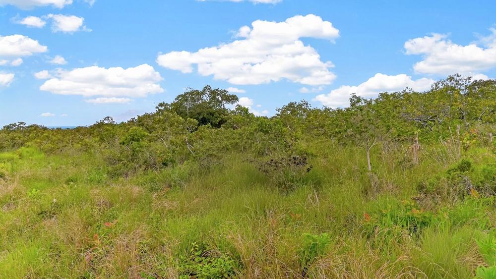 5,000 m² Lot for Sale on Boquete Main Road