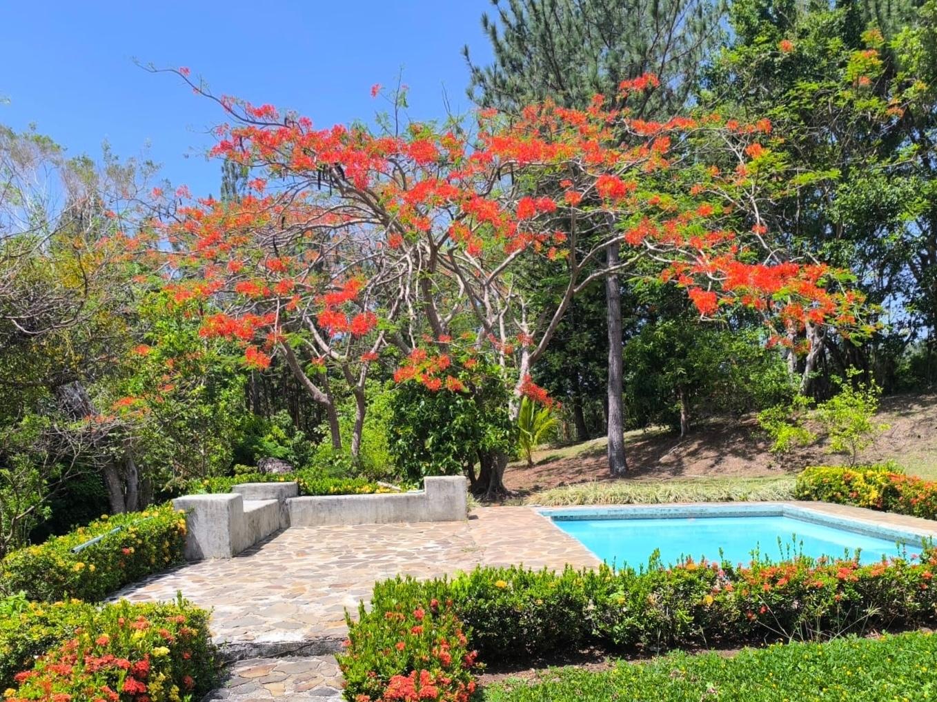 Private Mountain Estate on 10.17 Hectares, Sorá