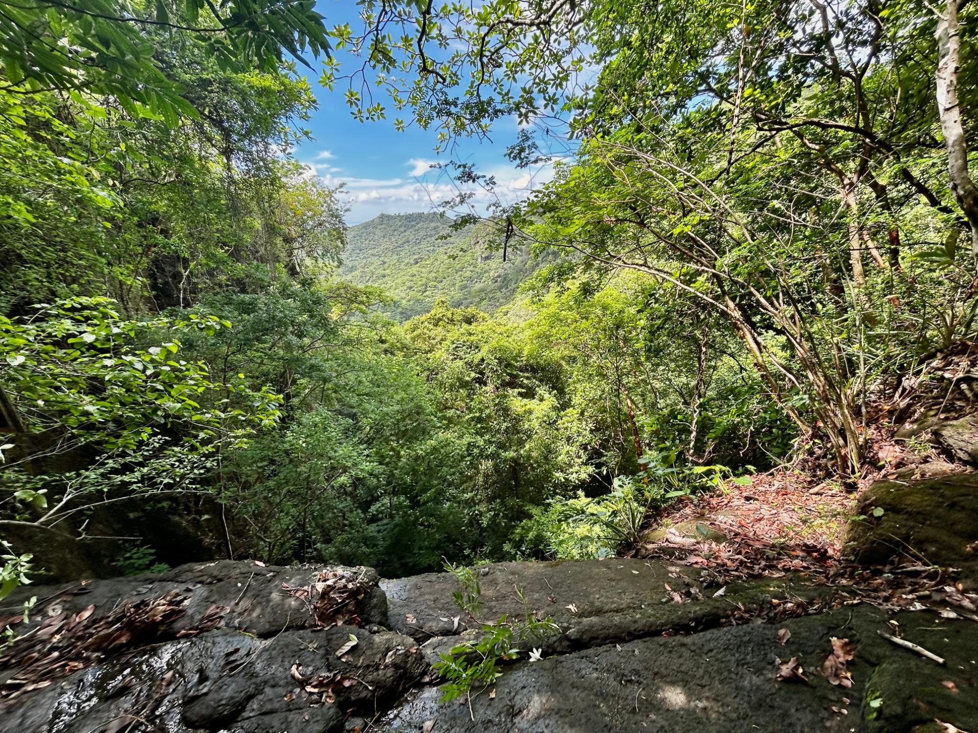 Private Mountain Estate on 10.17 Hectares, Sorá