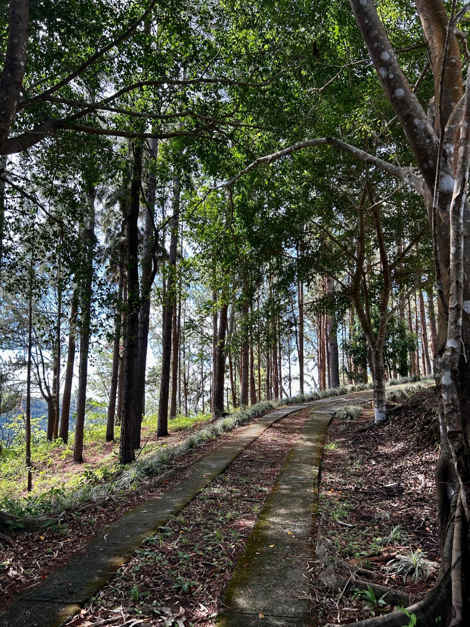 Private Mountain Estate on 10.17 Hectares, Sorá
