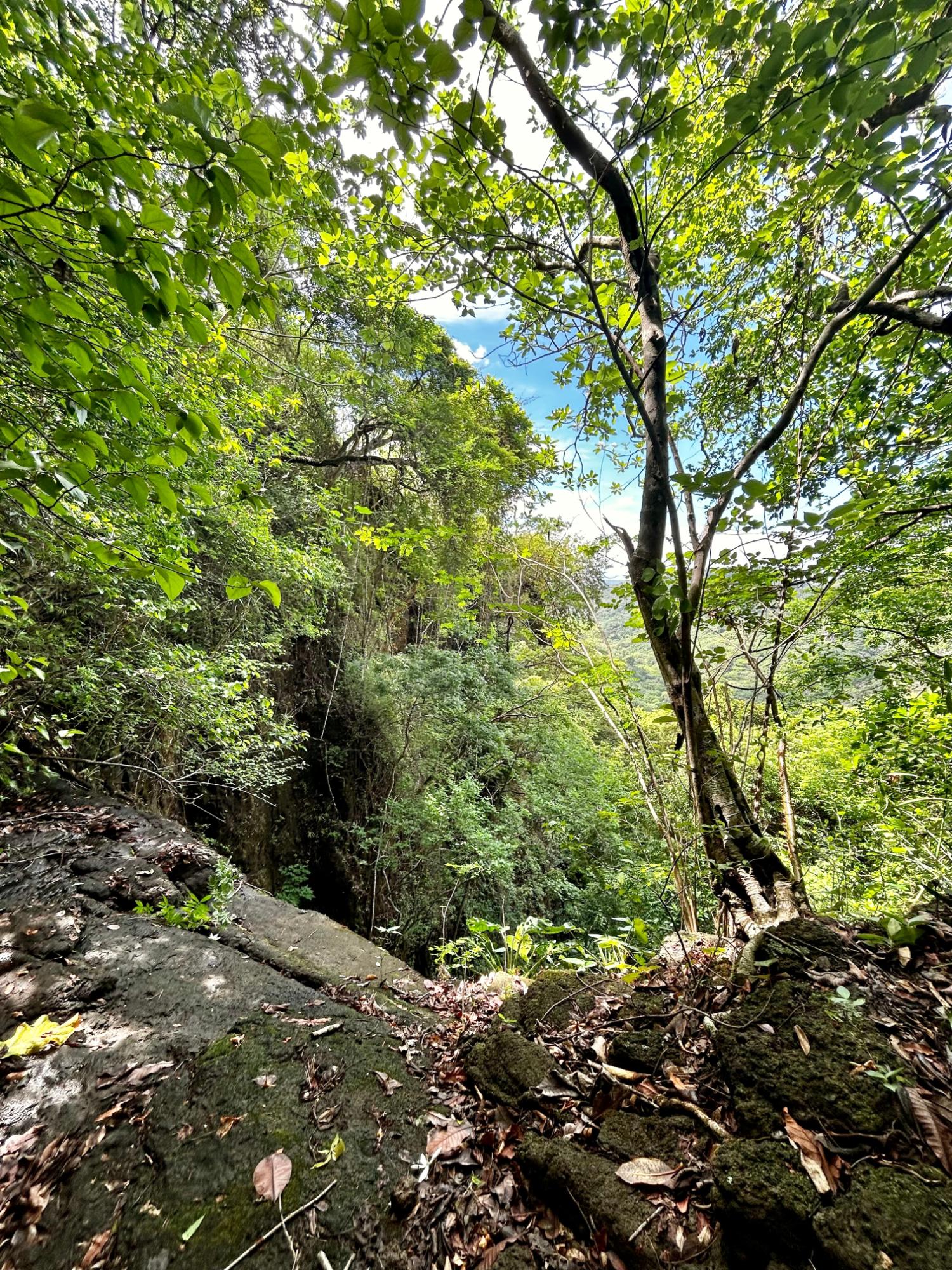 Private Mountain Estate on 10.17 Hectares, Sorá