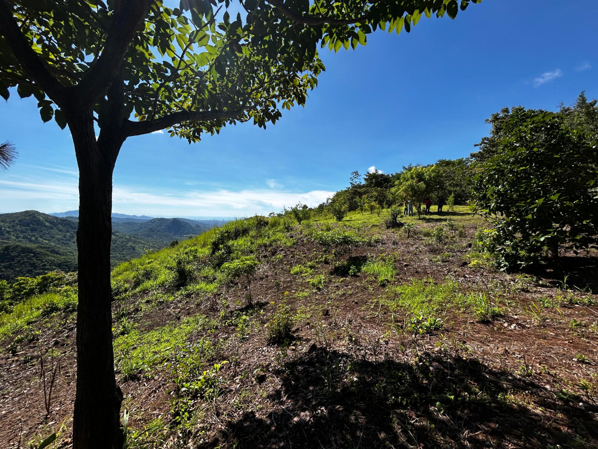 Private Mountain Estate on 10.17 Hectares, Sorá