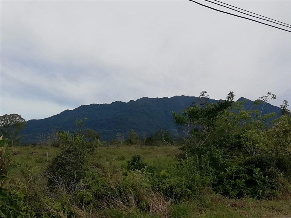 Expansive 5 Hectares for Sale in Alto Boquete