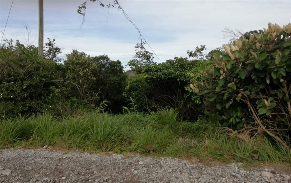 Expansive 5 Hectares for Sale in Alto Boquete