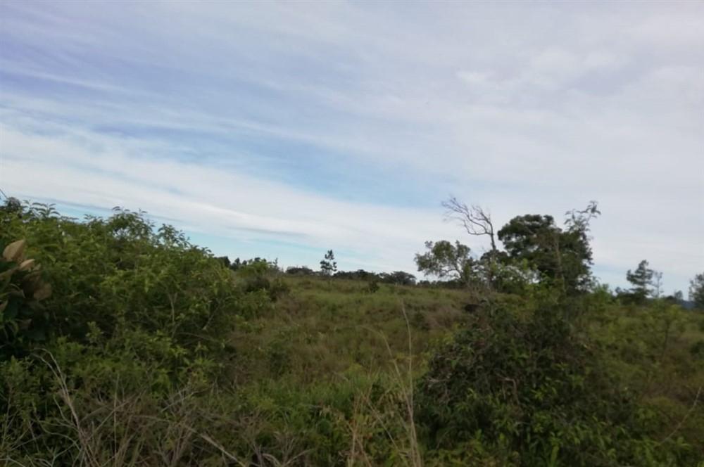 Expansive 5 Hectares for Sale in Alto Boquete