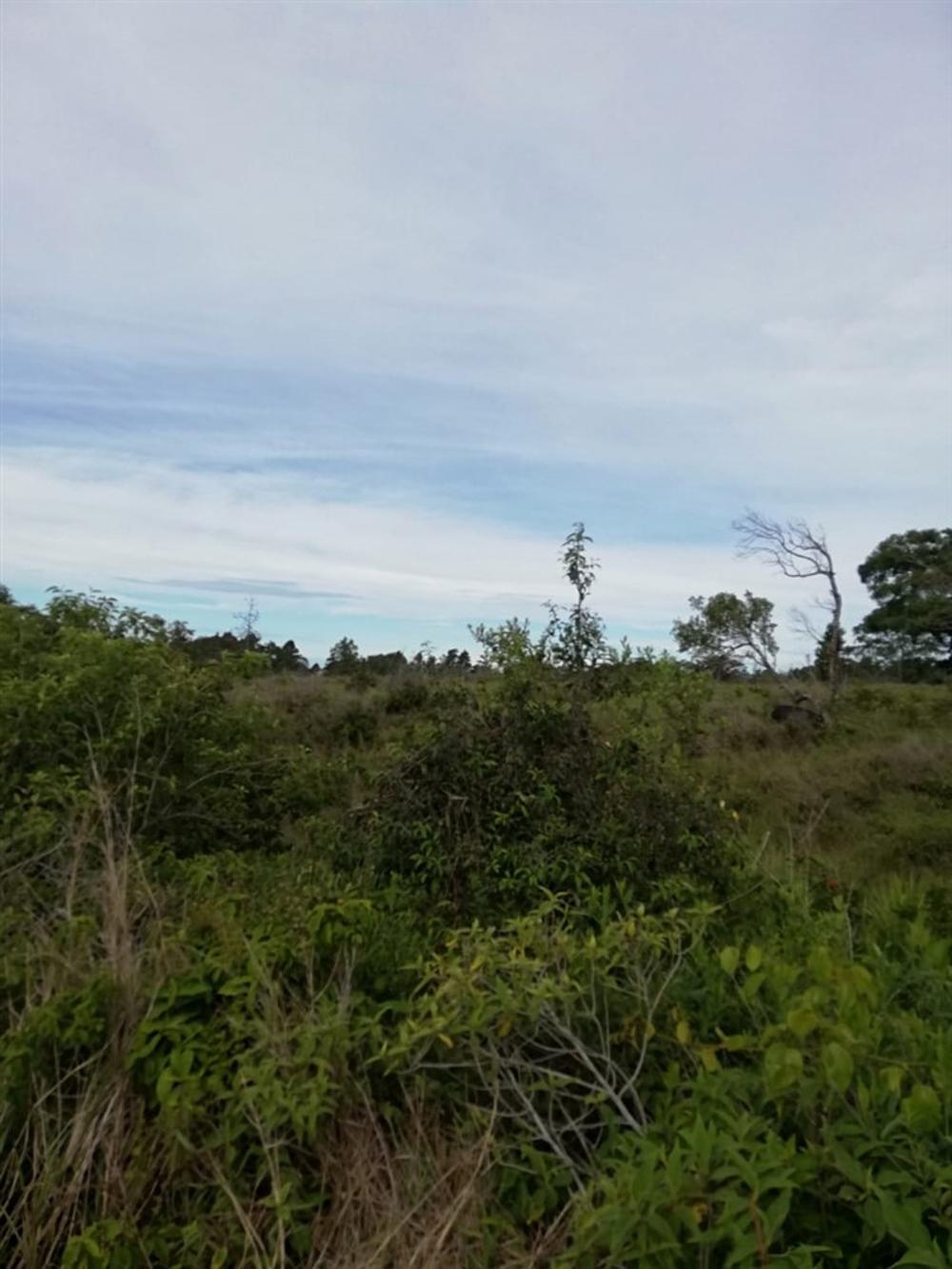 Expansive 5 Hectares for Sale in Alto Boquete