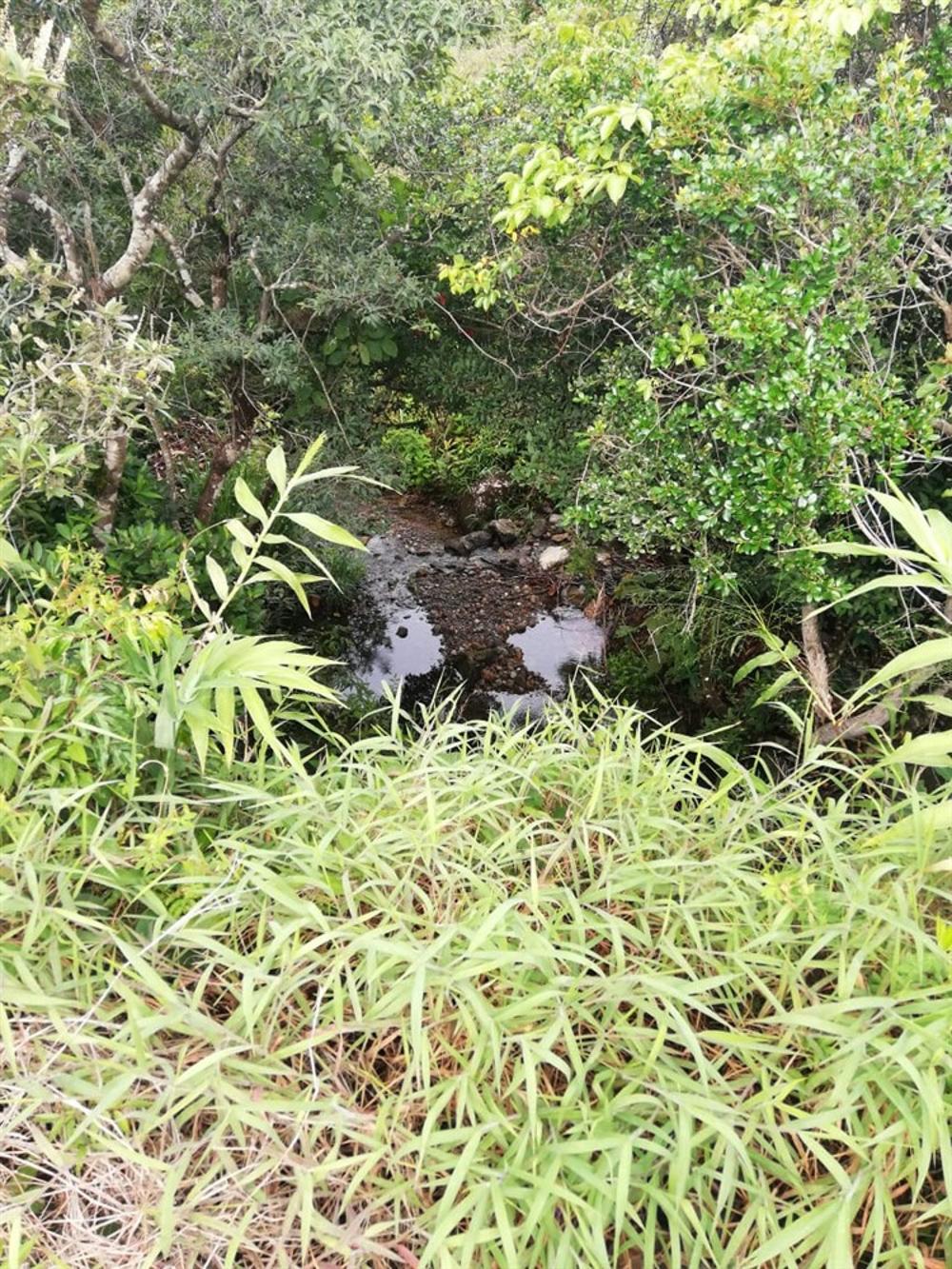 Expansive 5 Hectares for Sale in Alto Boquete