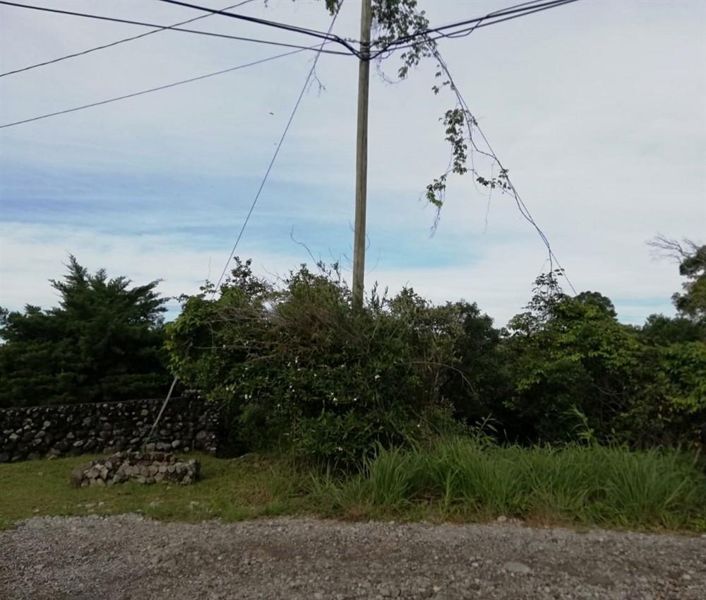 Expansive 5 Hectares for Sale in Alto Boquete