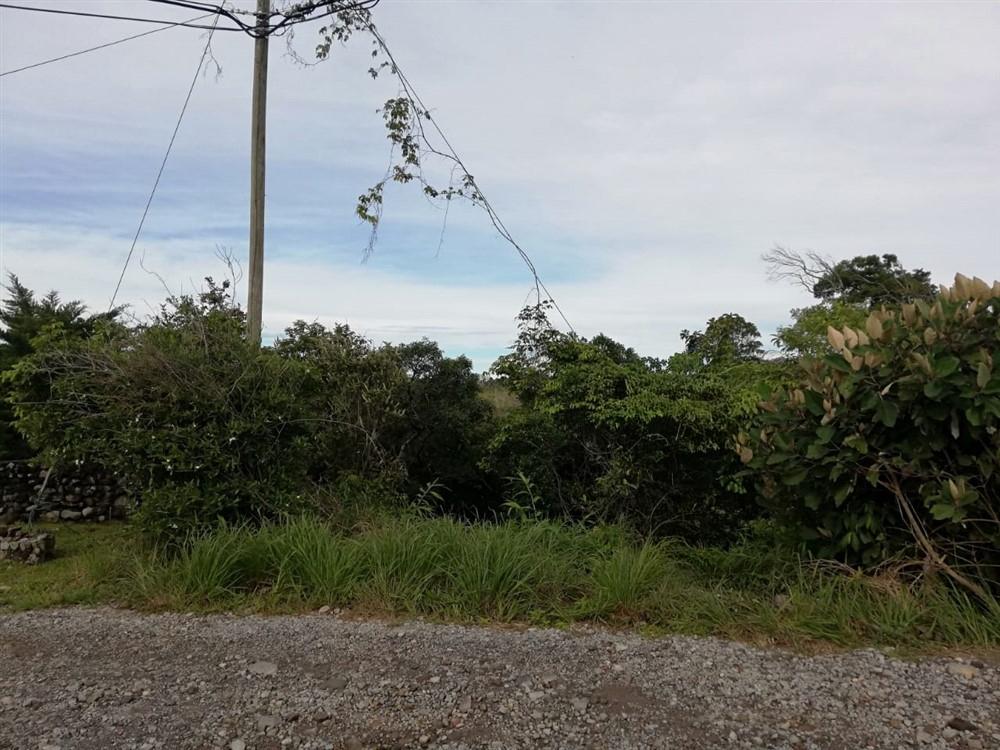 Expansive 5 Hectares for Sale in Alto Boquete