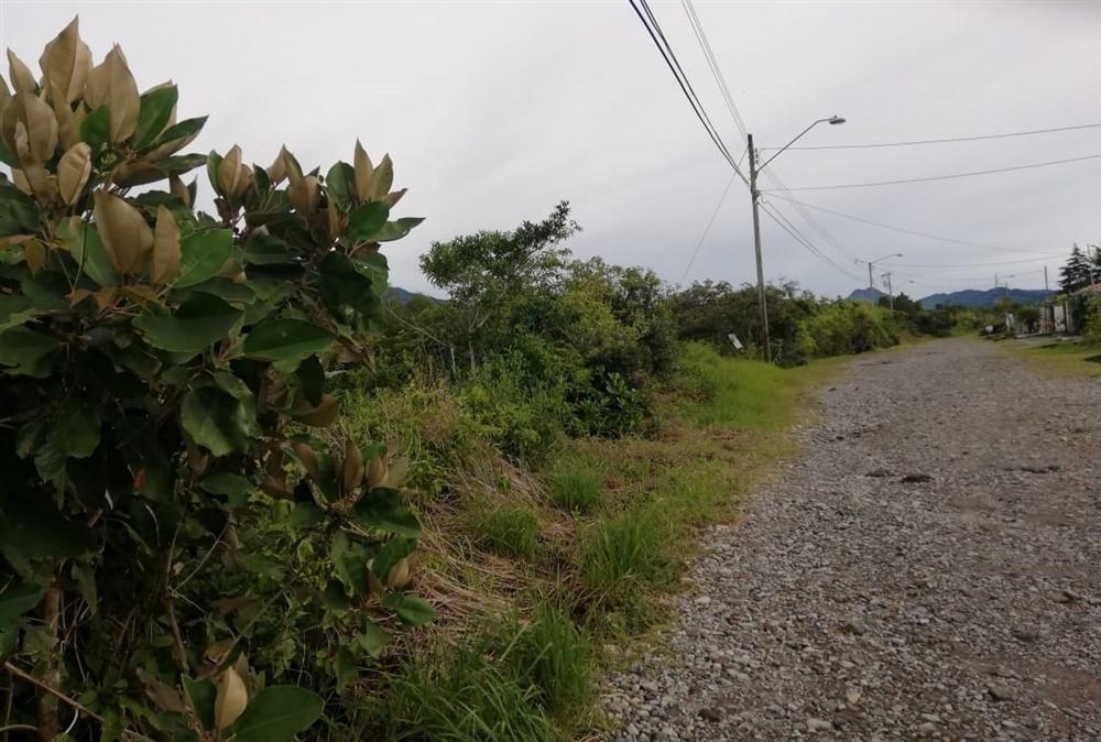 Expansive 5 Hectares for Sale in Alto Boquete