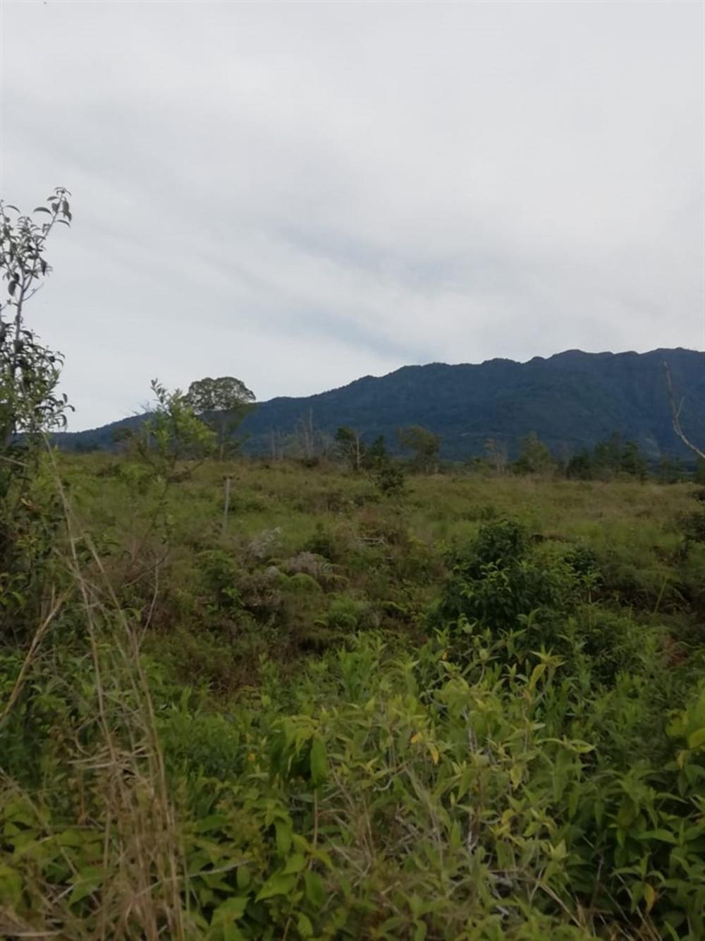 Expansive 5 Hectares for Sale in Alto Boquete