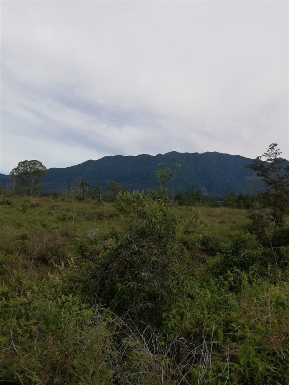 Expansive 5 Hectares for Sale in Alto Boquete