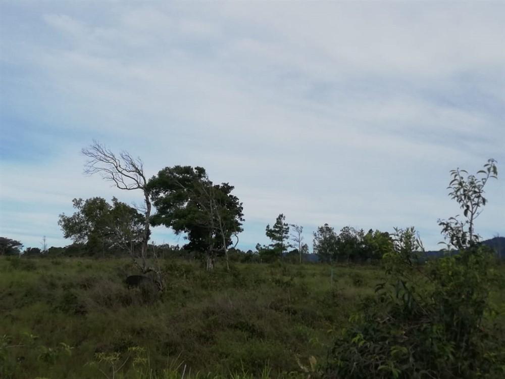 Expansive 5 Hectares for Sale in Alto Boquete