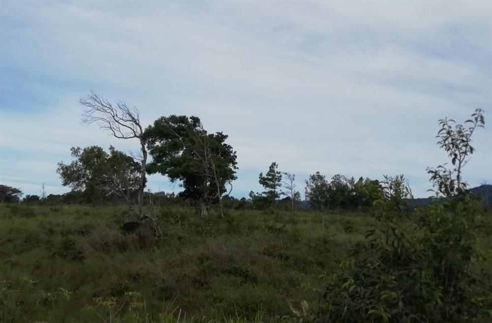 Expansive 5 Hectares for Sale in Alto Boquete