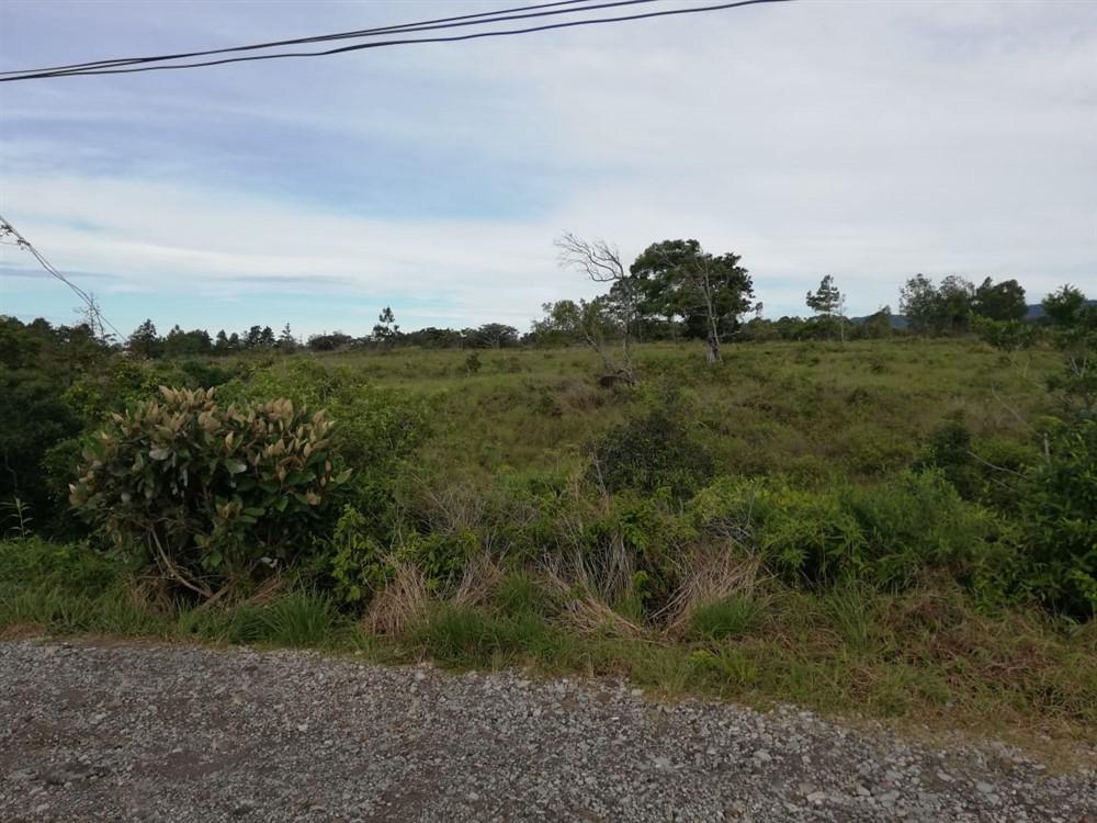 Expansive 5 Hectares for Sale in Alto Boquete