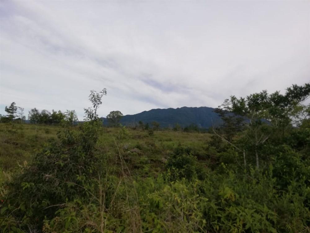 Expansive 5 Hectares for Sale in Alto Boquete