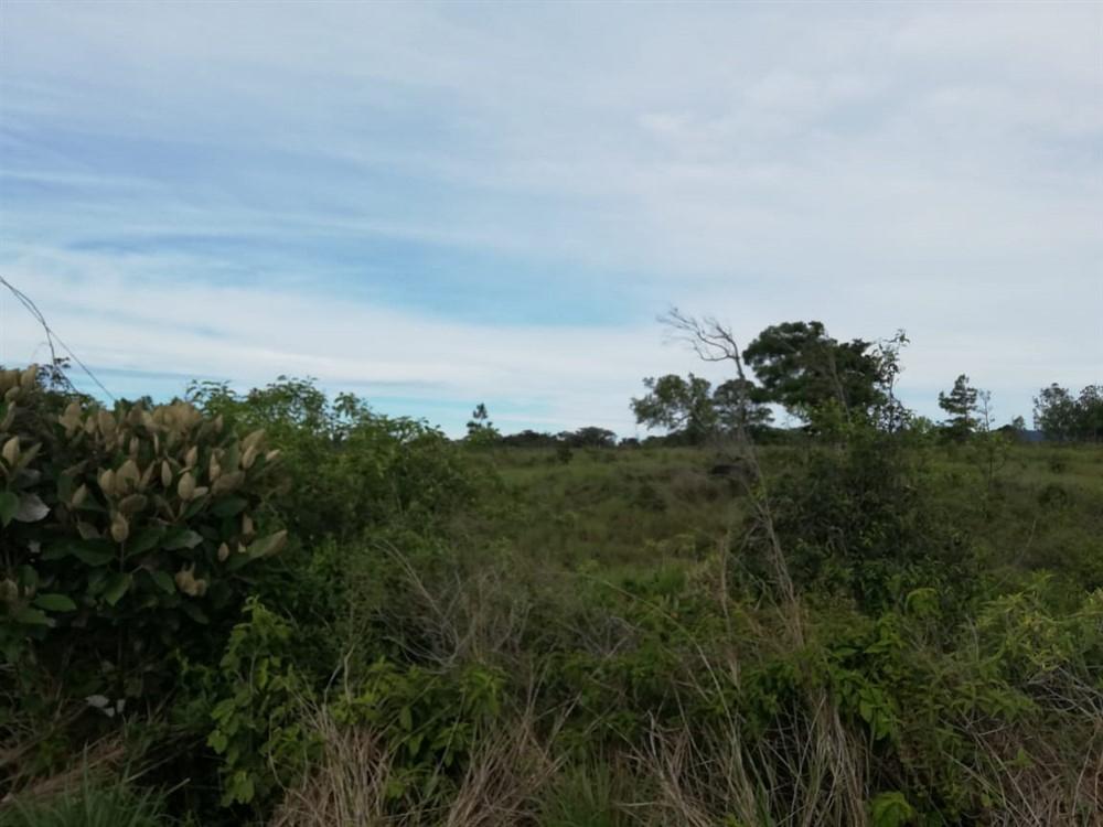 Expansive 5 Hectares for Sale in Alto Boquete