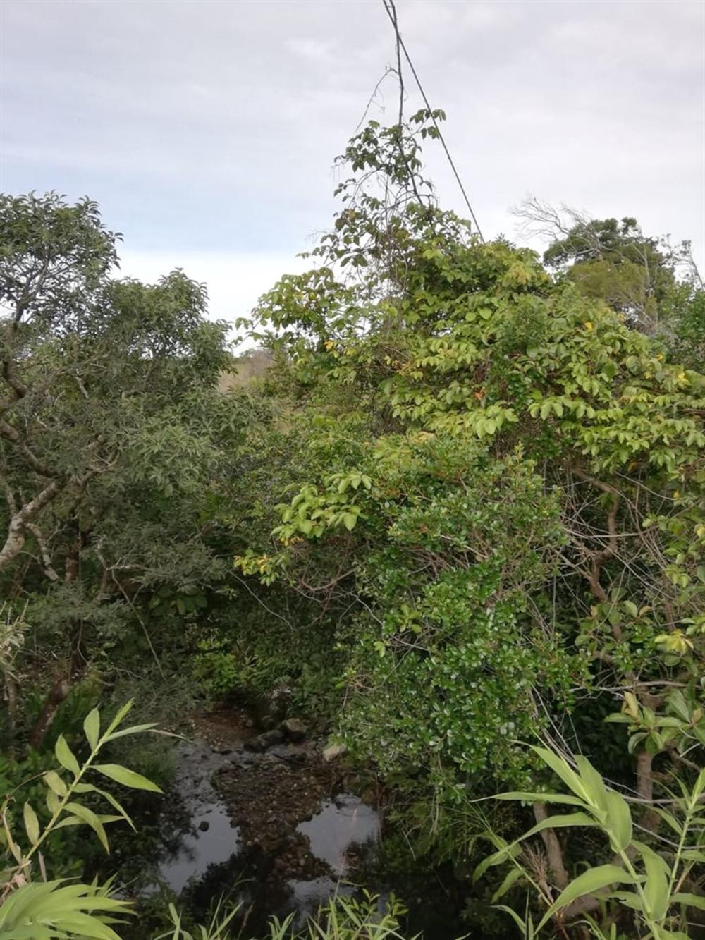 Expansive 5 Hectares for Sale in Alto Boquete