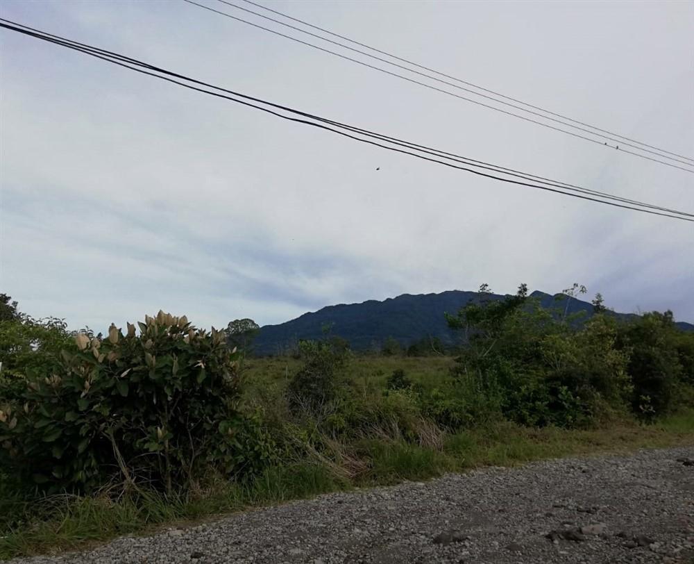 Expansive 5 Hectares for Sale in Alto Boquete