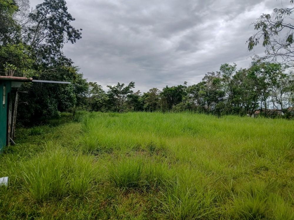 Spacious 9,229 m² Flat Lot in Alto Boquete