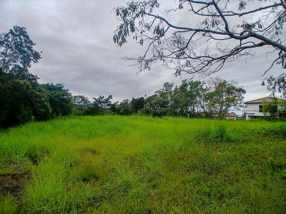 Spacious 9,229 m² Flat Lot in Alto Boquete