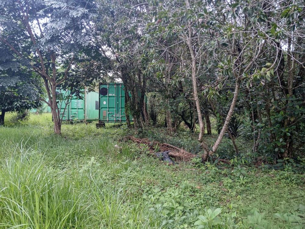 Spacious 9,229 m² Flat Lot in Alto Boquete