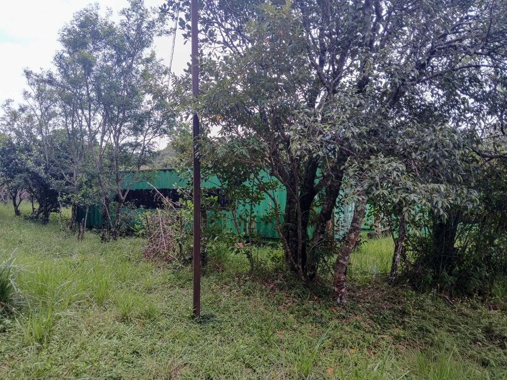 Spacious 9,229 m² Flat Lot in Alto Boquete