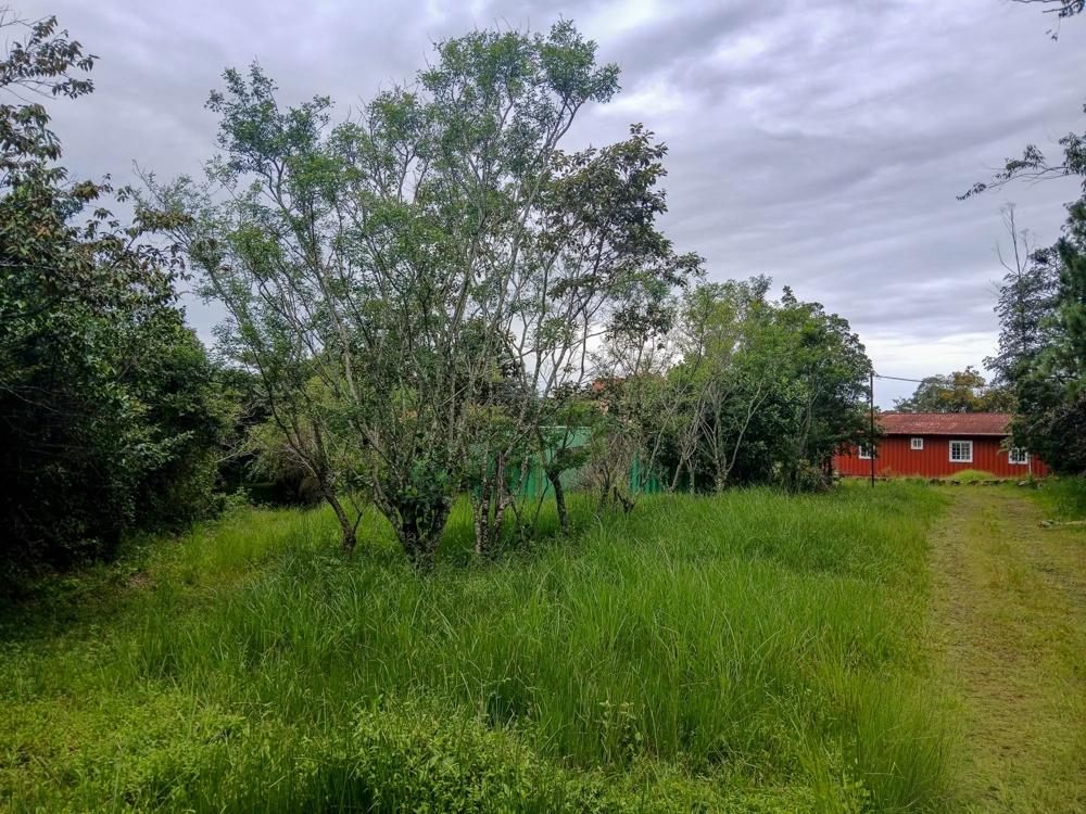 Spacious 9,229 m² Flat Lot in Alto Boquete