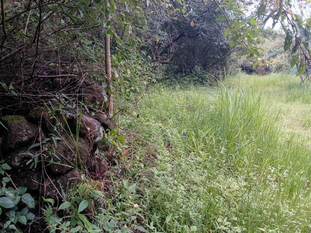 Spacious 9,229 m² Flat Lot in Alto Boquete