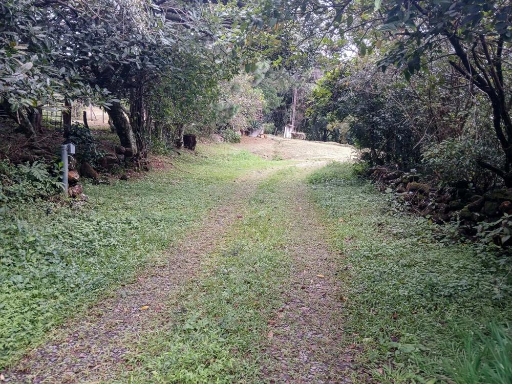 Spacious 9,229 m² Flat Lot in Alto Boquete