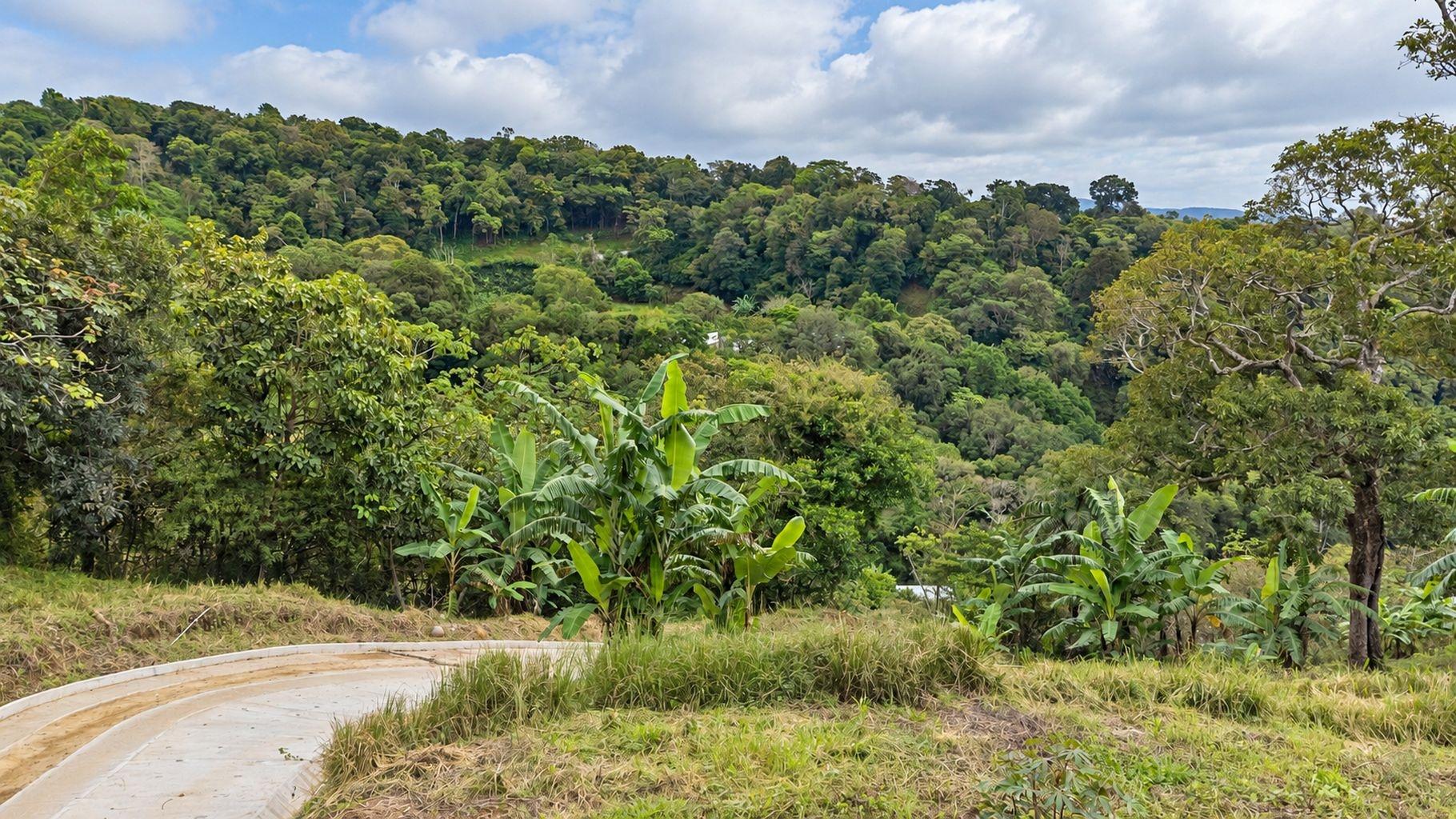 6,694 m² Lot For Sale in Palmira Boquete