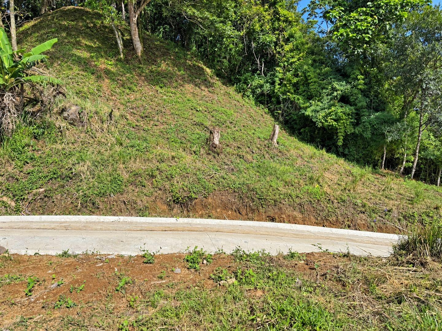6,694 m² Lot For Sale in Palmira Boquete