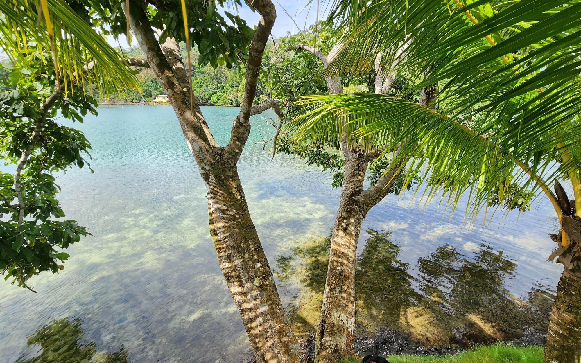 Private Island Gem
