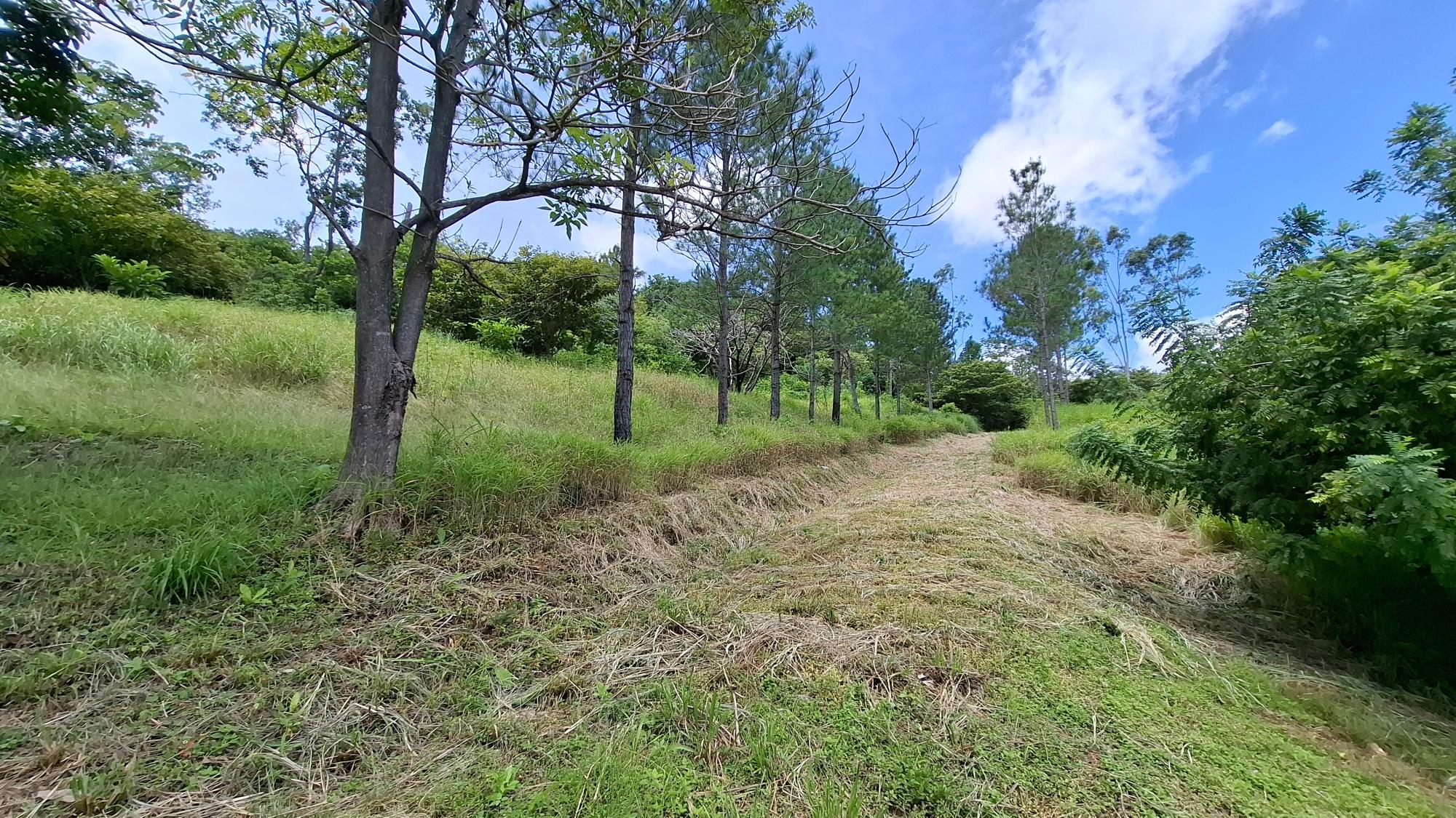 CHAME/BEJUCO LAND FOR SALE