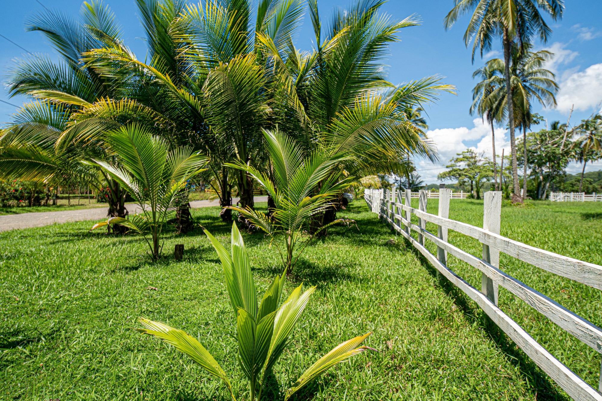 Prime Las Lajas Panama Land