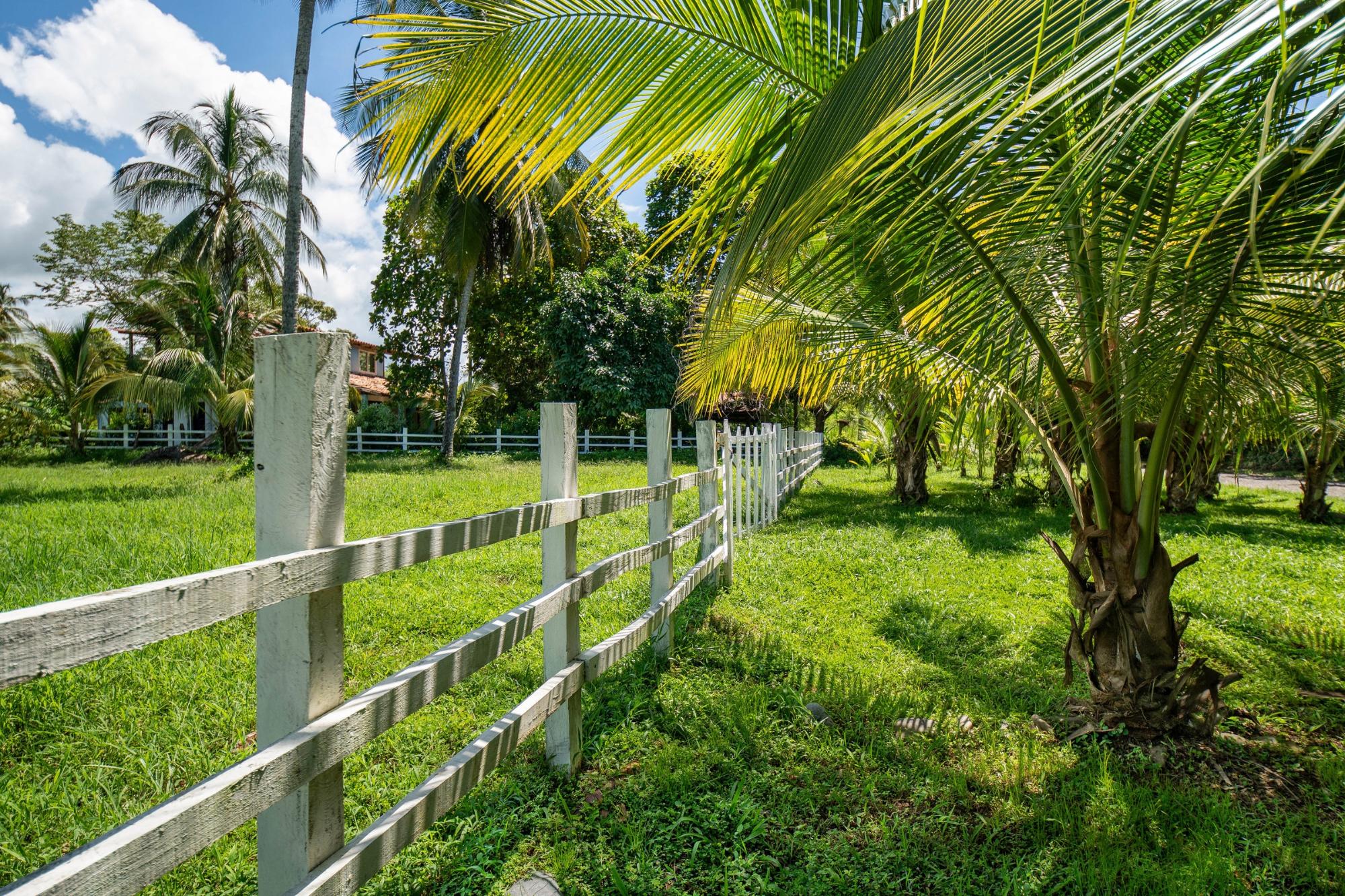 Prime Las Lajas Panama Land