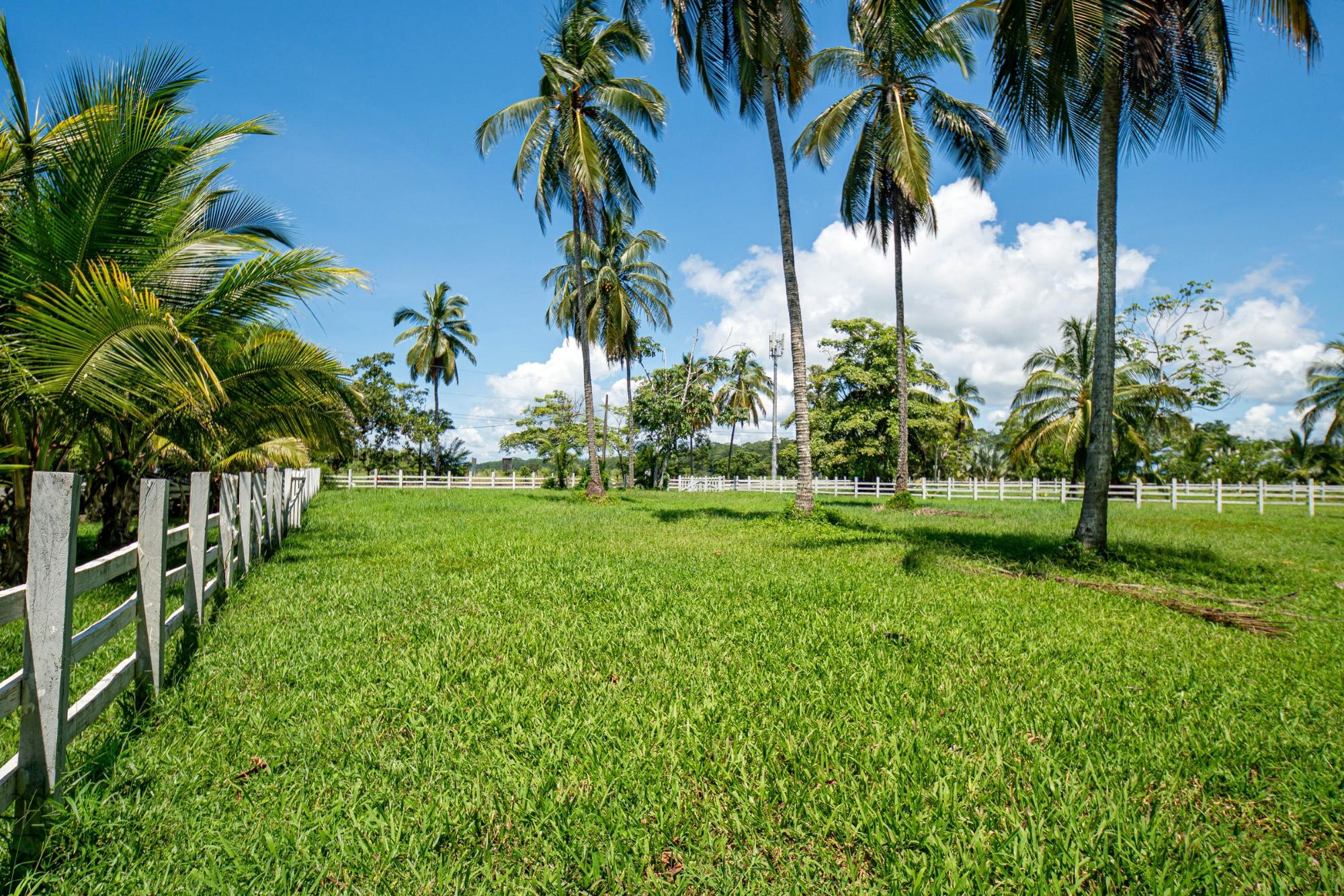 Prime Las Lajas Panama Land