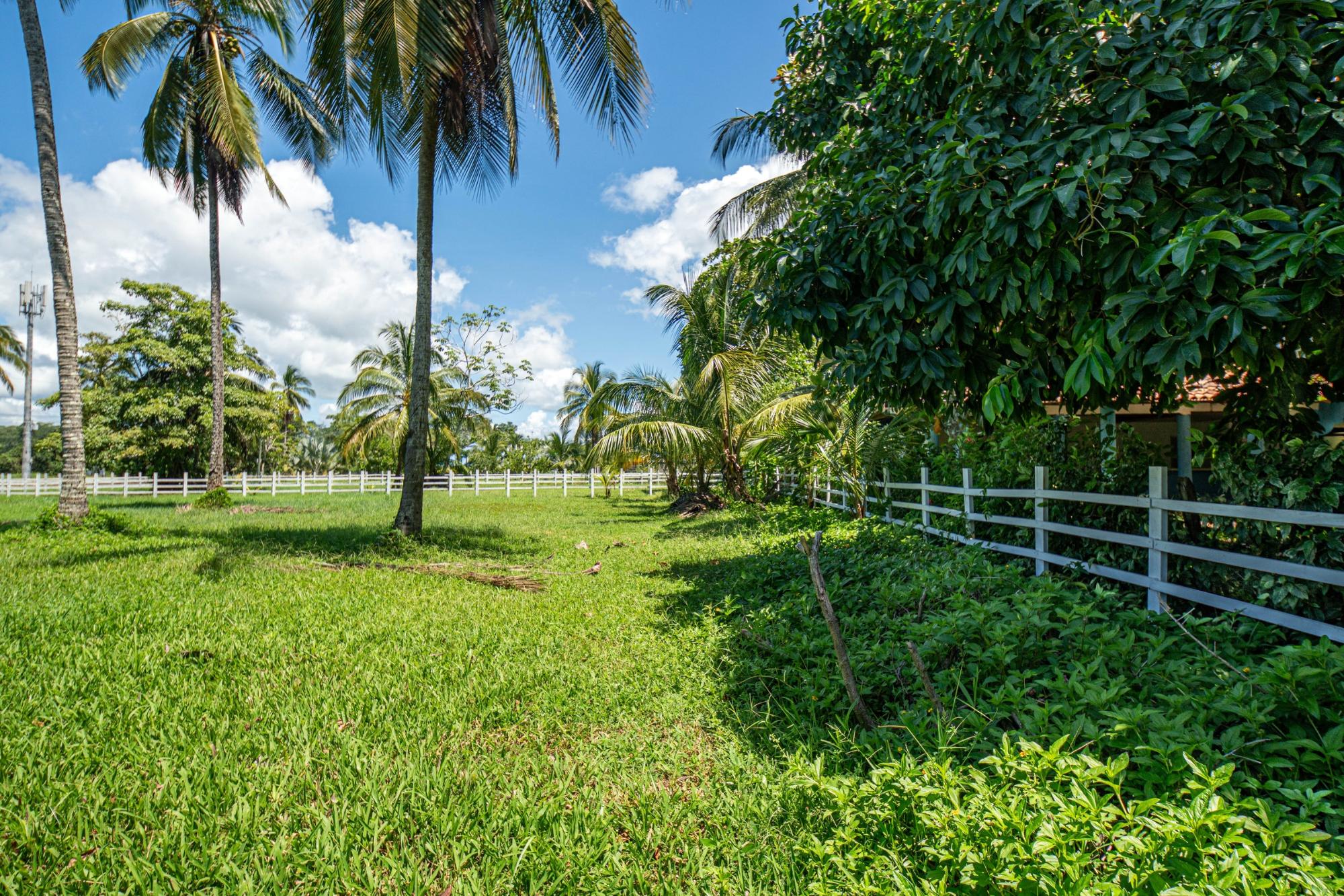 Prime Las Lajas Panama Land