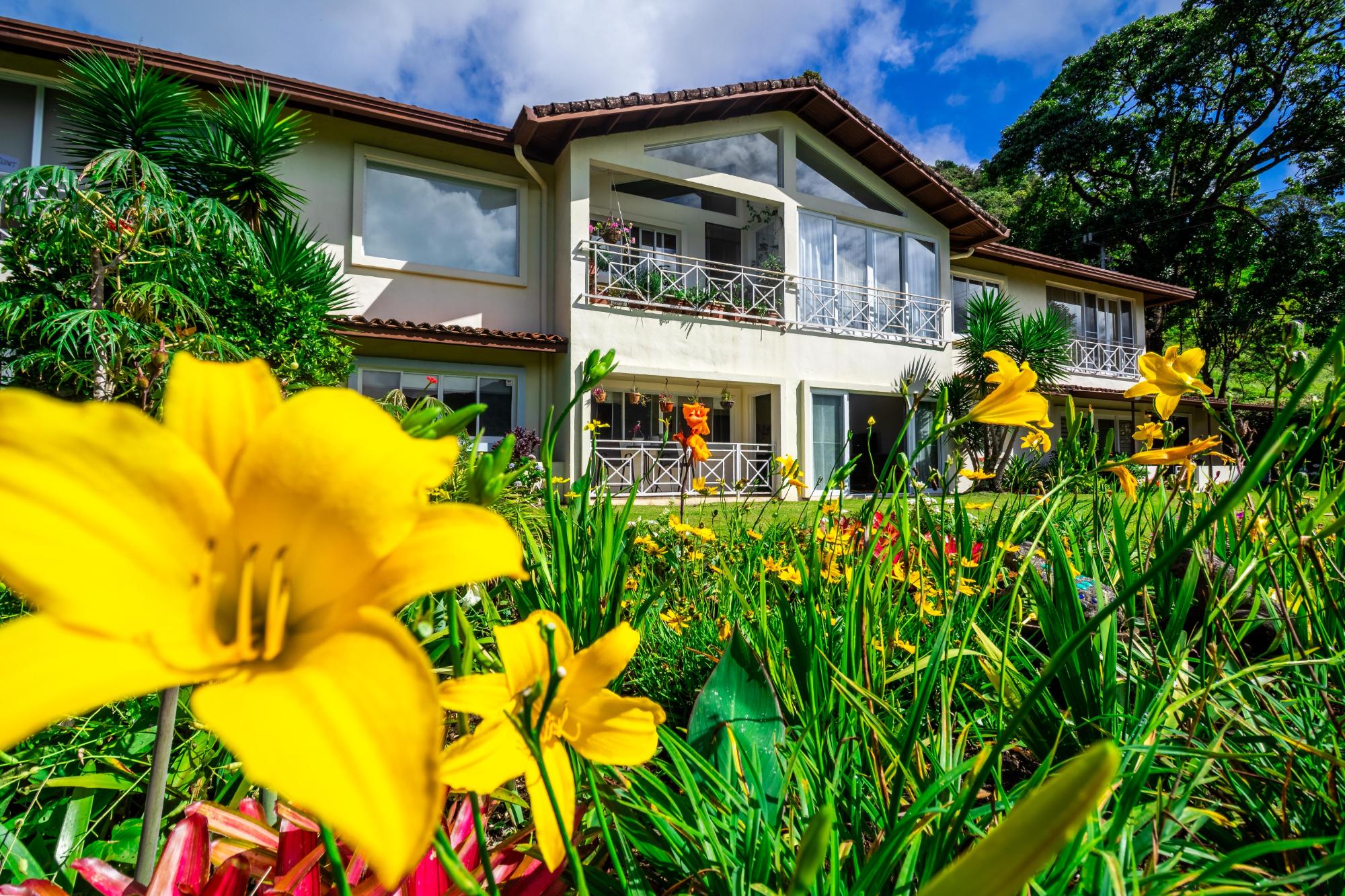 Ground Floor Monte Verde Condo – Boquete