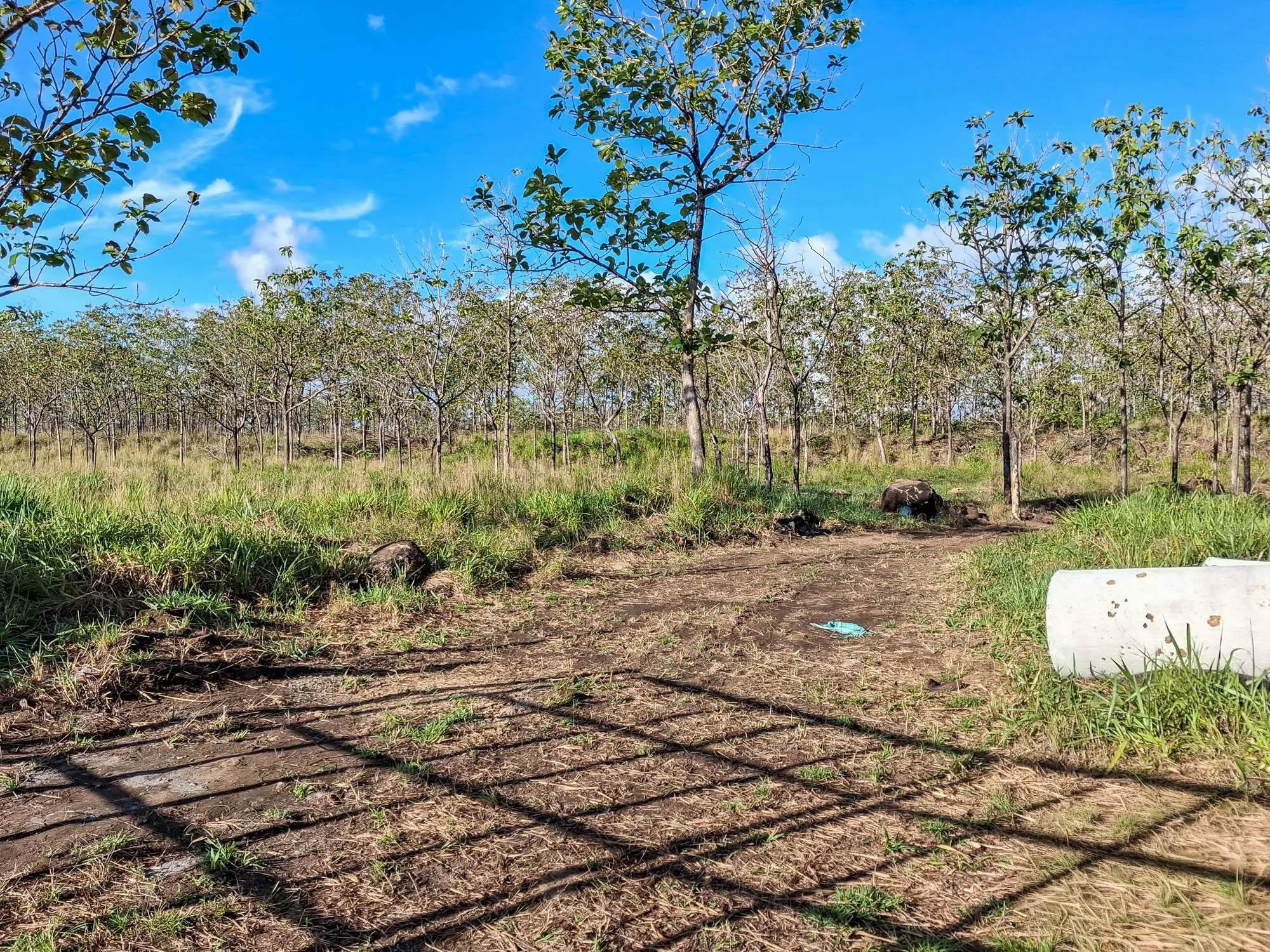 22.2 Hectares for Sale in El Francés