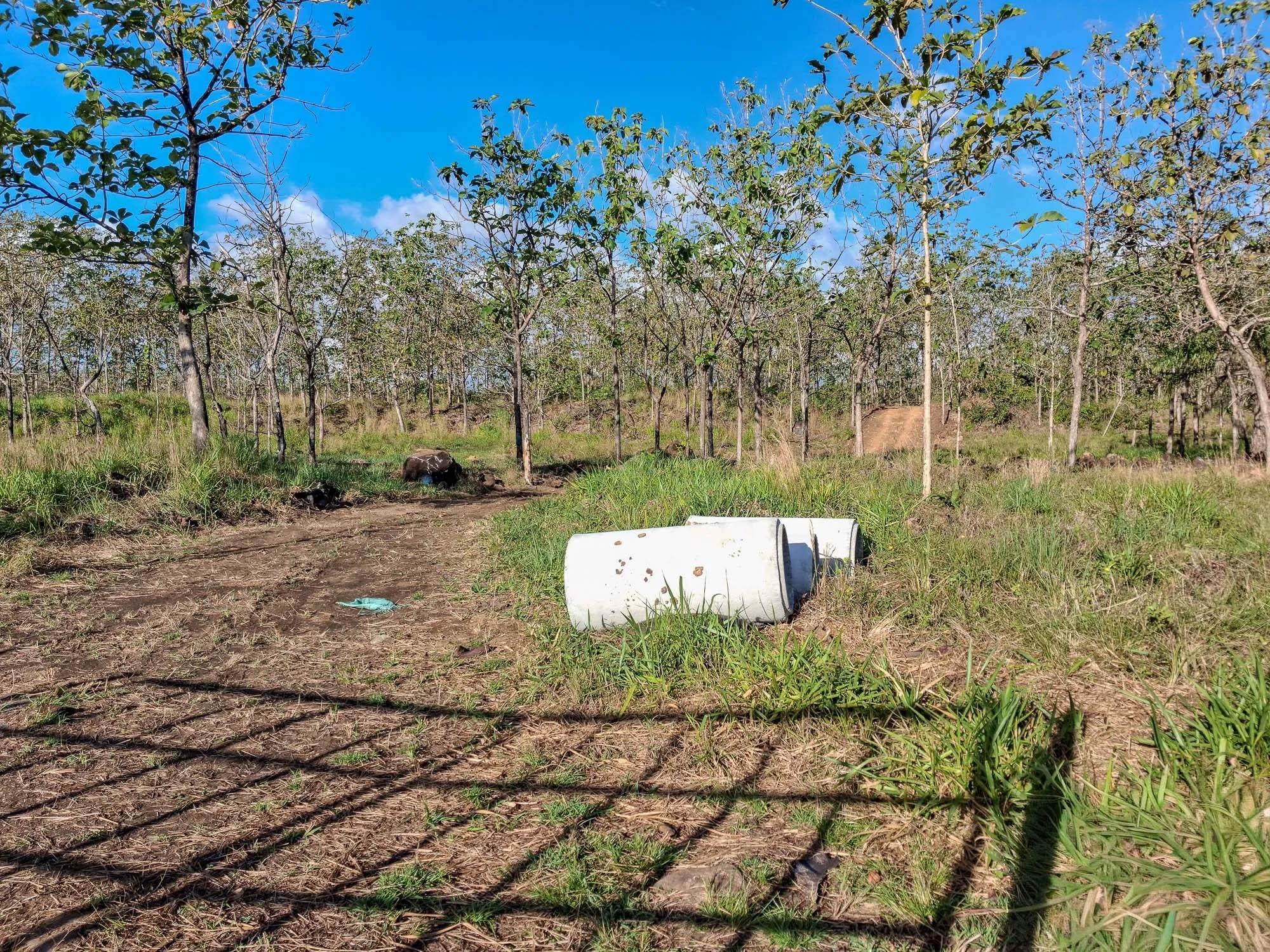 22.2 Hectares for Sale in El Francés