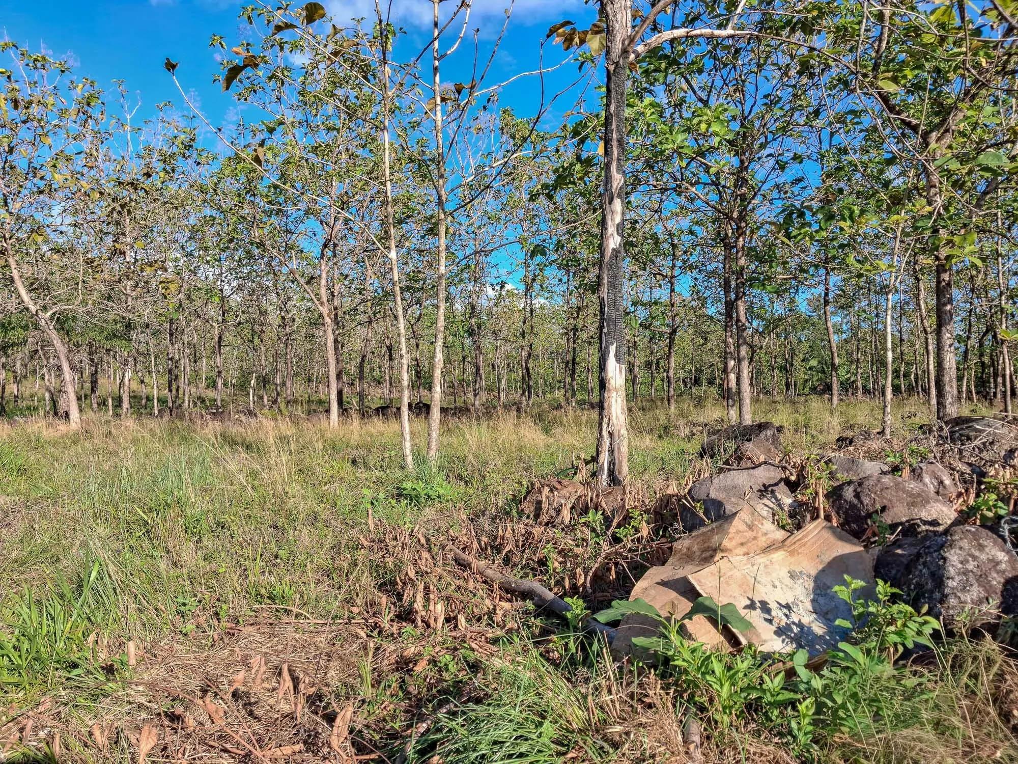 22.2 Hectares for Sale in El Francés