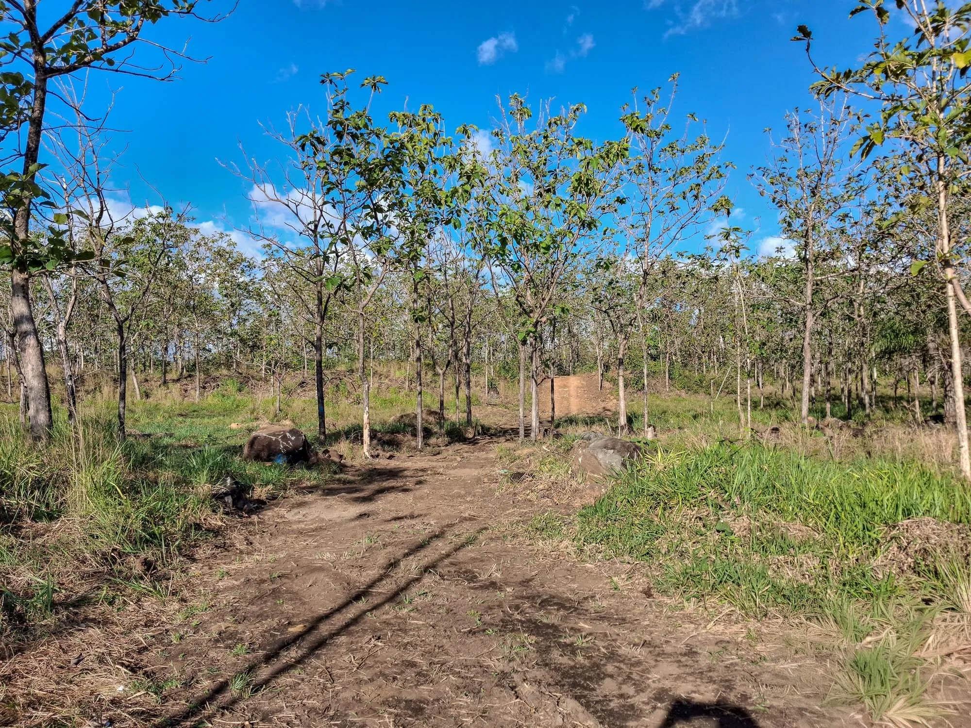 22.2 Hectares for Sale in El Francés