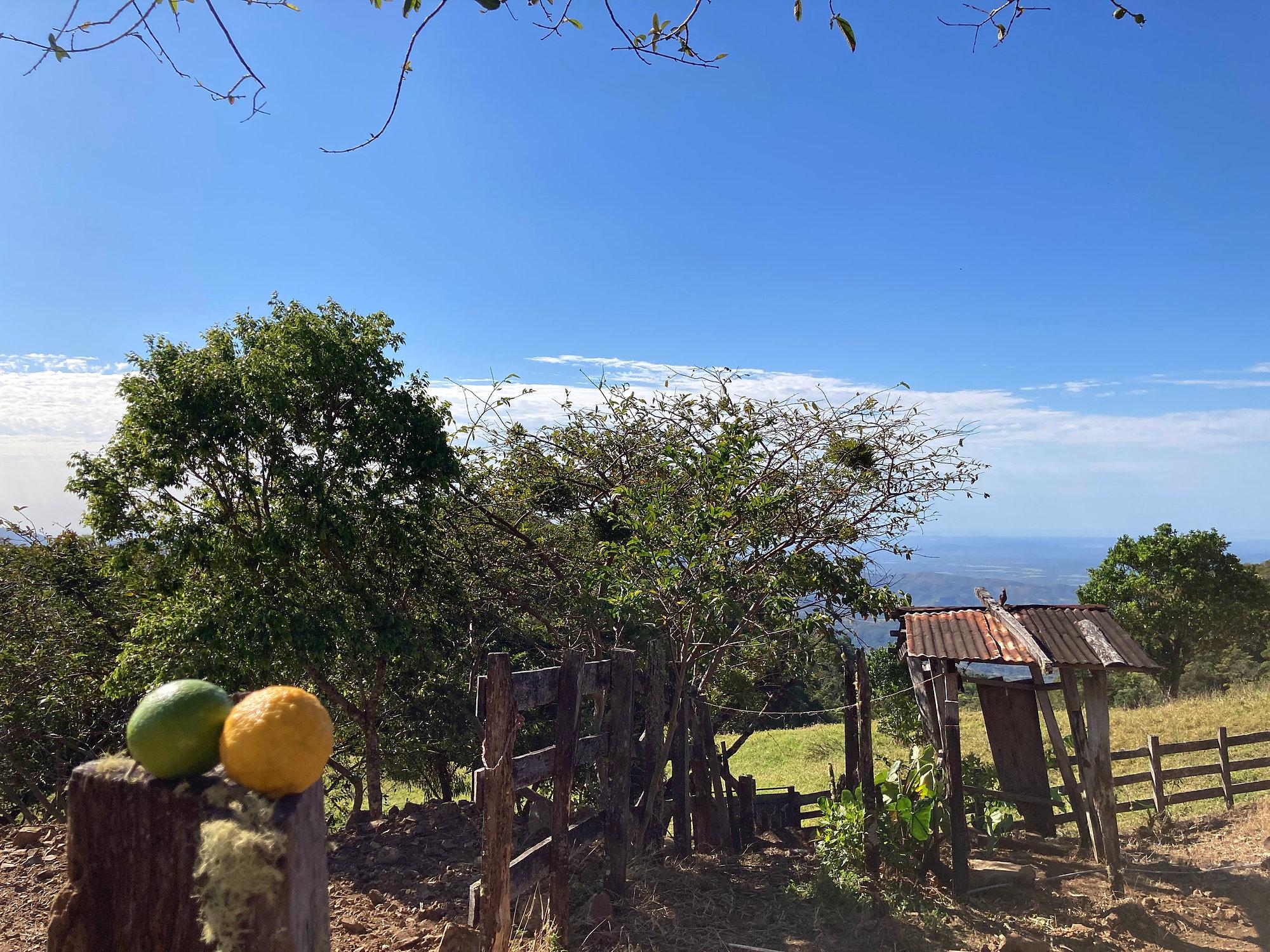 Cattle farm or private retreat