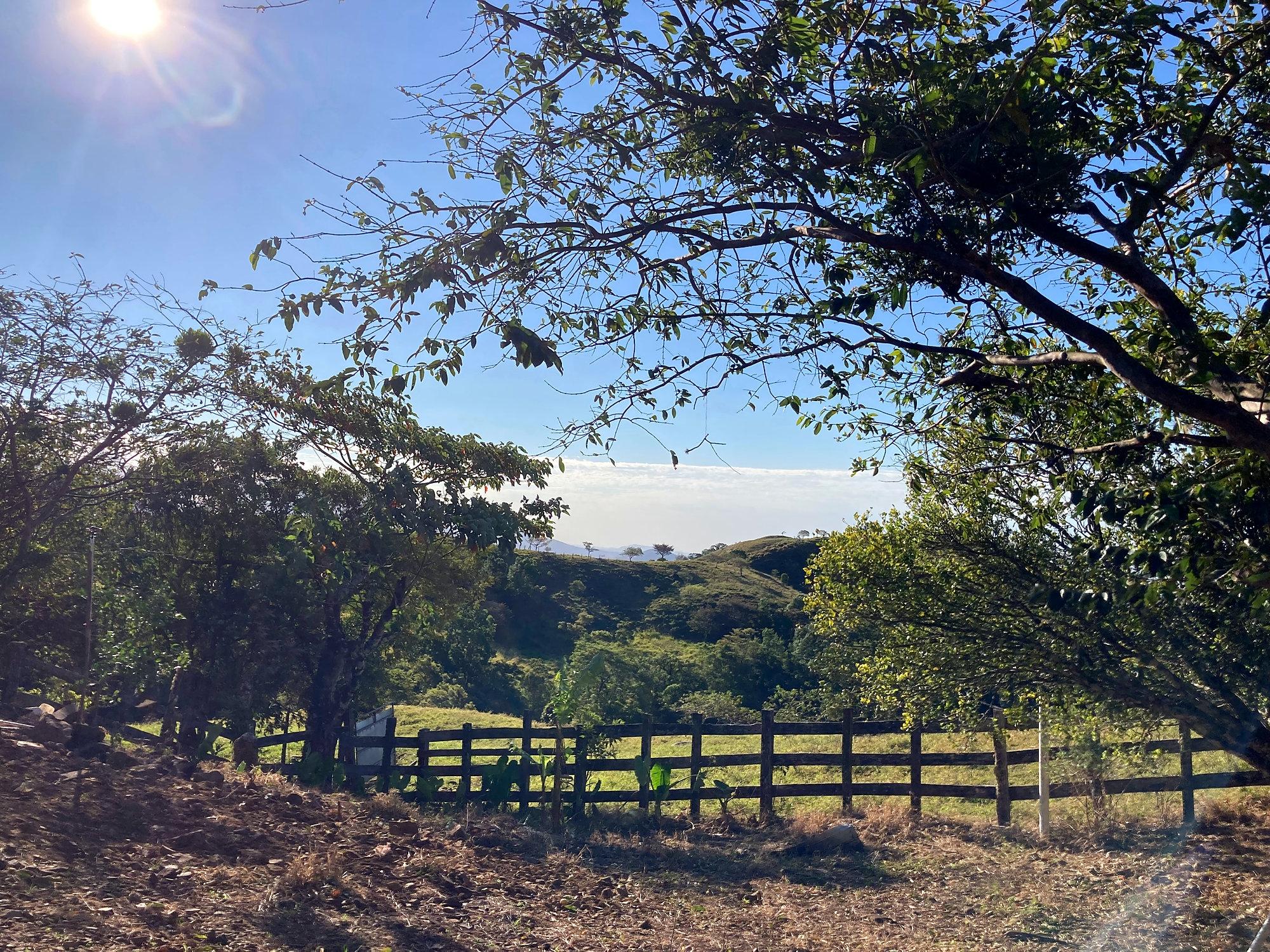 Cattle farm or private retreat