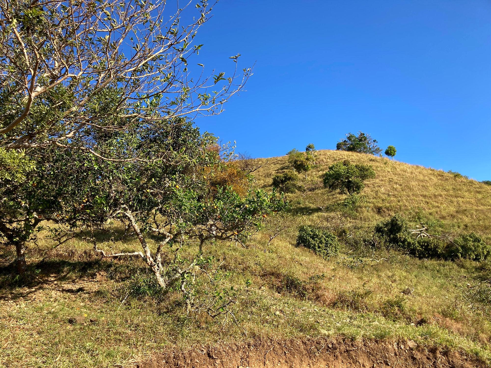 Cattle farm or private retreat