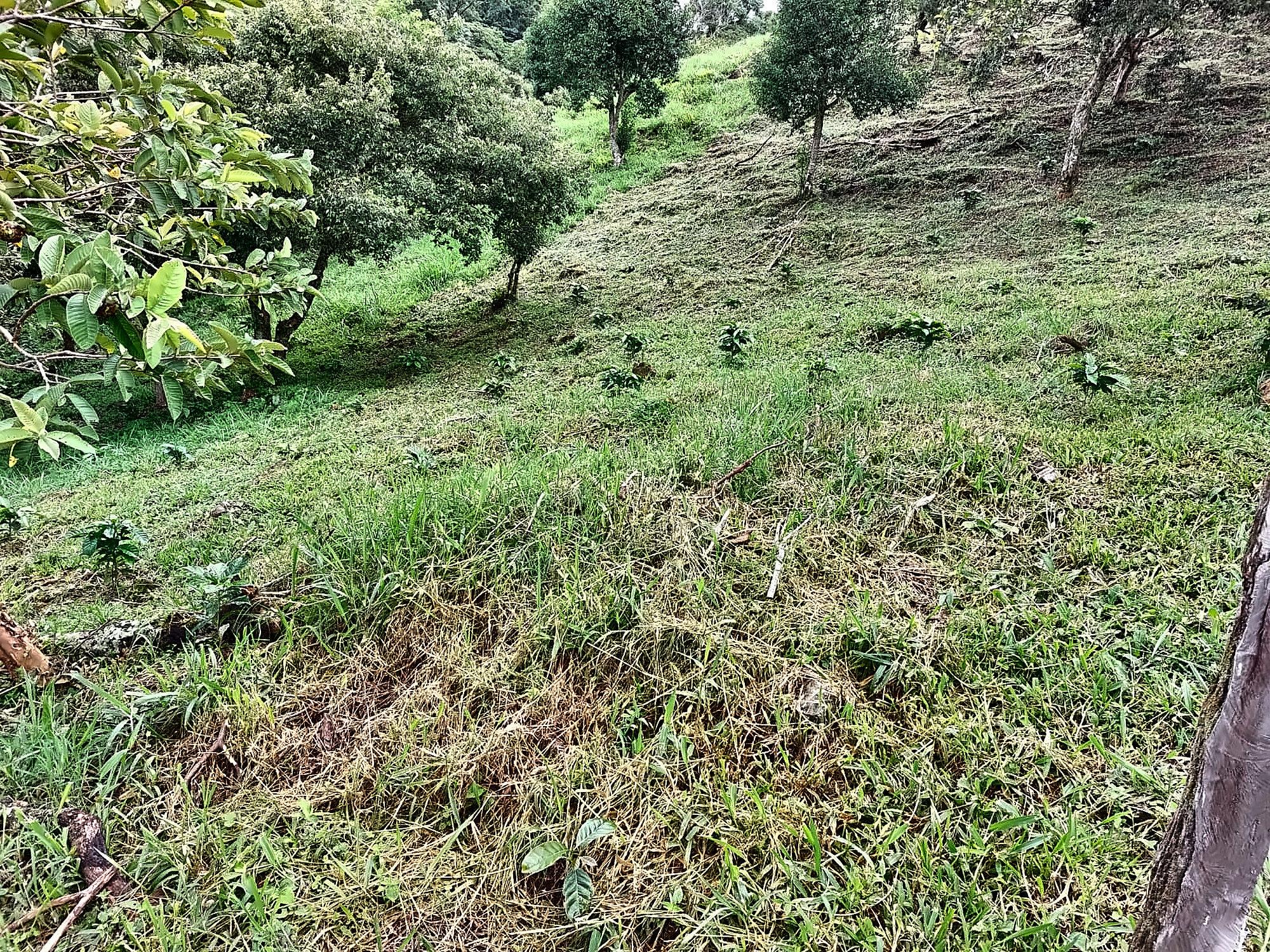 Cattle farm or private retreat