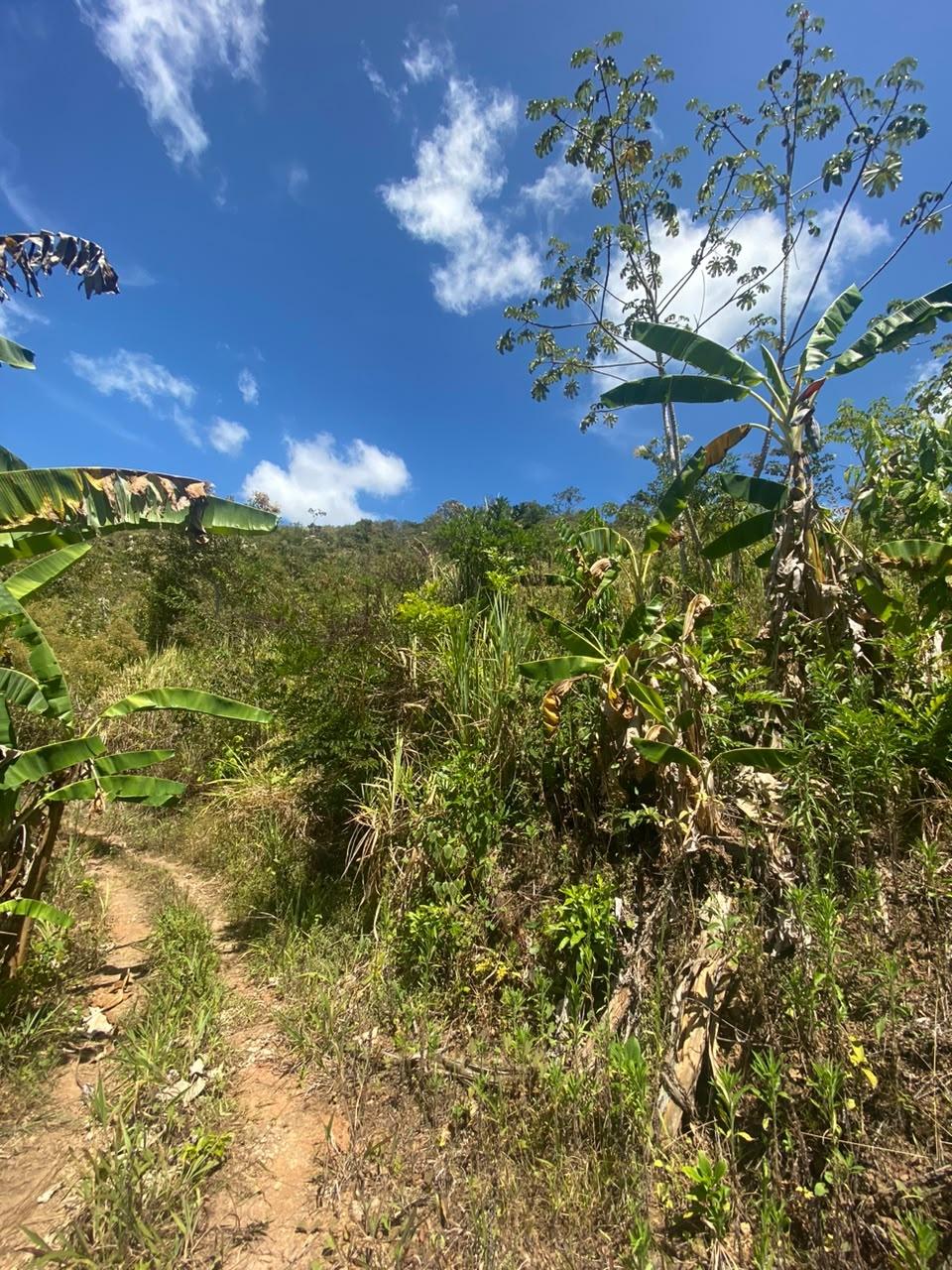 LAND FOR SALE IN SORÁ