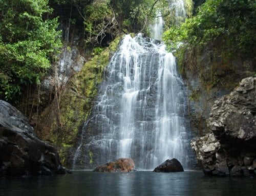 Top Outdoor Activities for Adventure Lovers in Cambutal, Panama