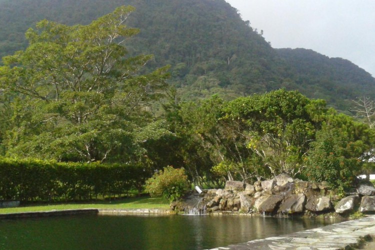 A mountain side in San Carlos, full of tropical vegetation.